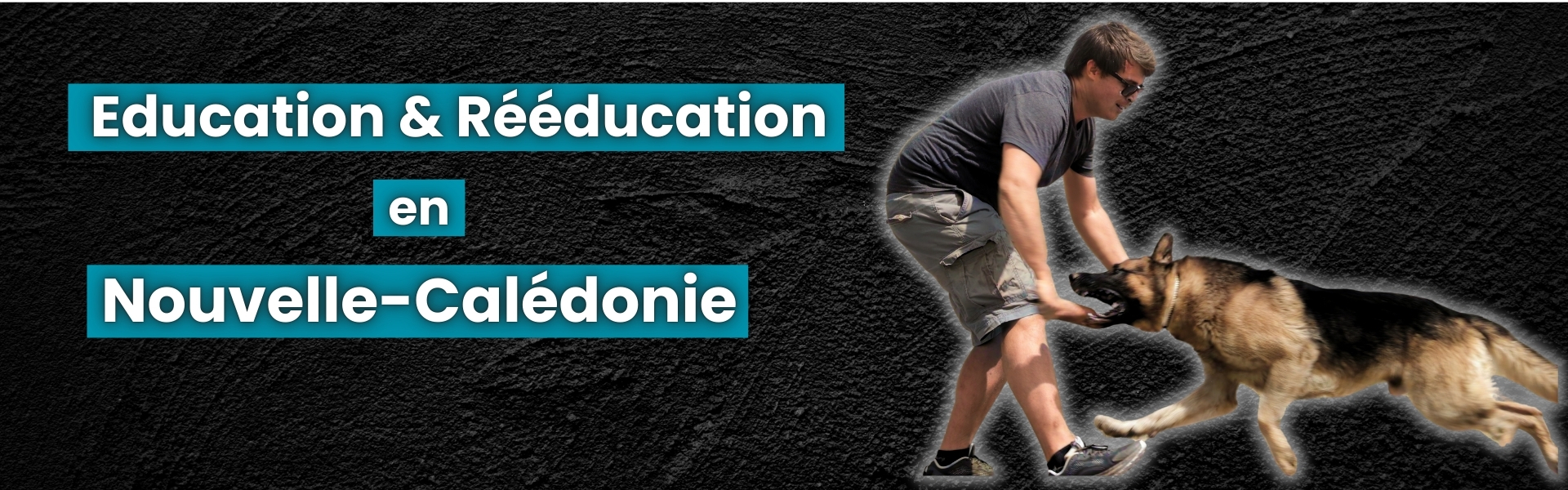 activité d'éducateur canin comportementaliste en Nouvelle-Calédonie